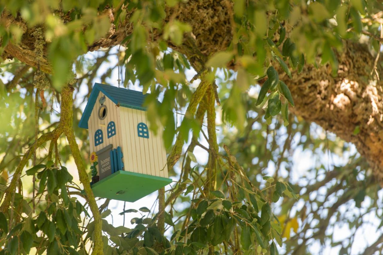 Mystay - Herdade Do Vale Da Abelheira 그란돌라 외부 사진